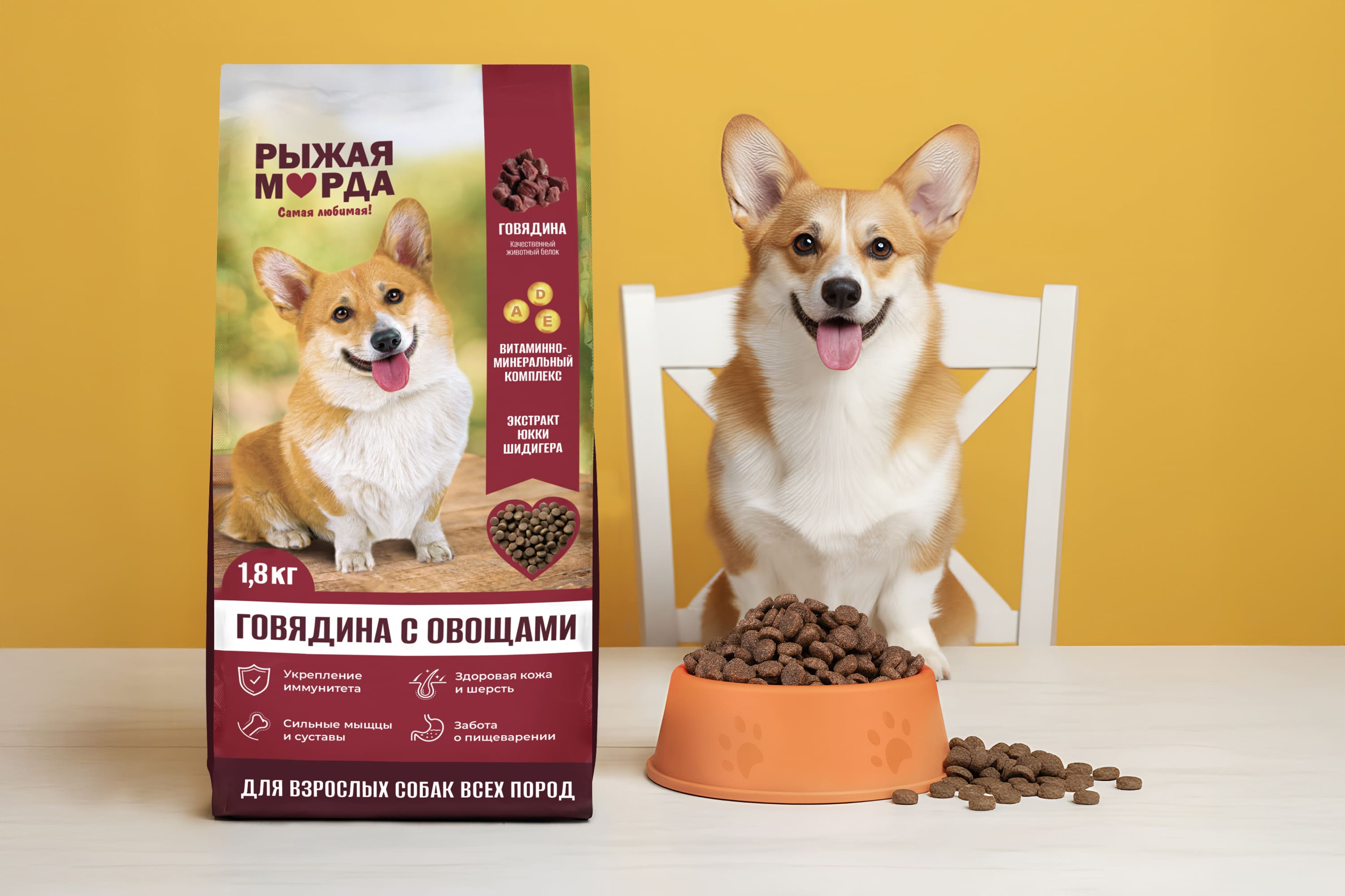 Рыжая морда