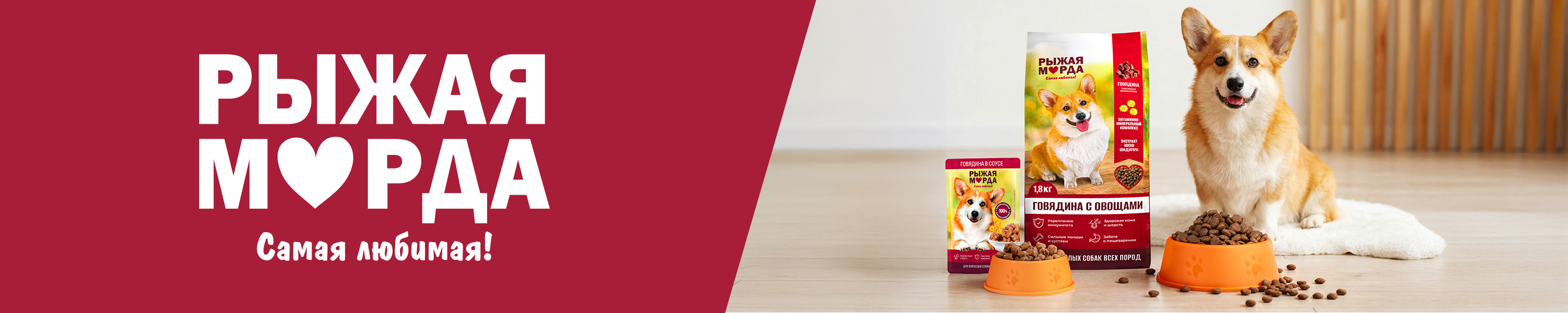 Рыжая морда